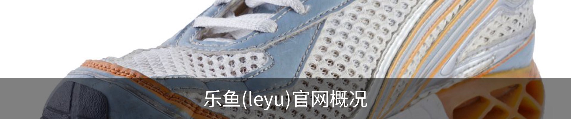 乐鱼(leyu)官网概况